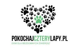 cropped pokochajczterylapy