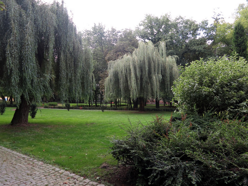 park Szczytniki 3