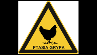 Obraz1