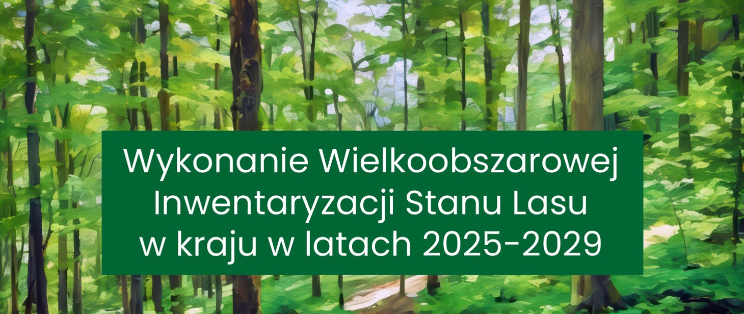 WielkoobszInwentStanuLasu20252029