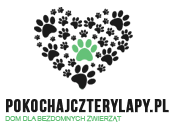 Logo cztery łapy