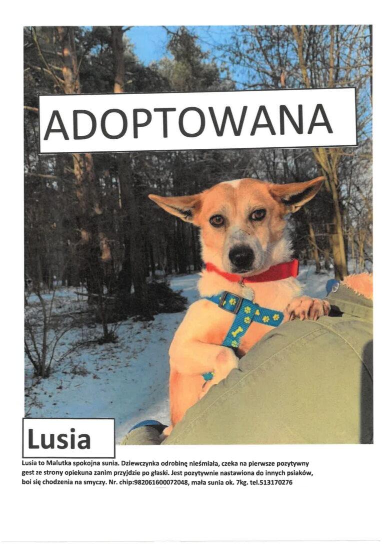 Lusia ADOPTOWANA 1 768x1086